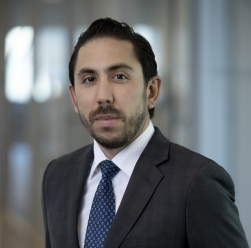 David Bocchi